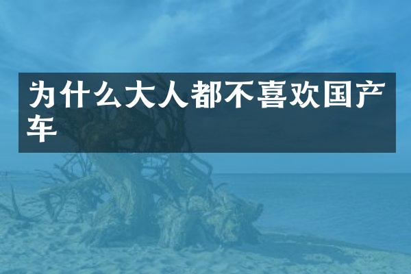 为什么大人都不喜欢国产车