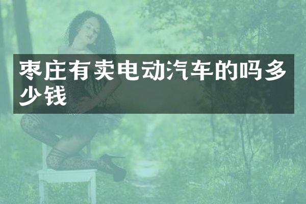 枣庄有卖电动汽车的吗多少钱