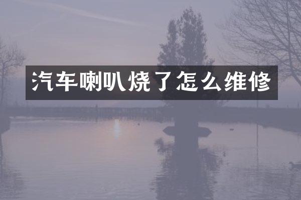 汽车喇叭烧了怎么维修