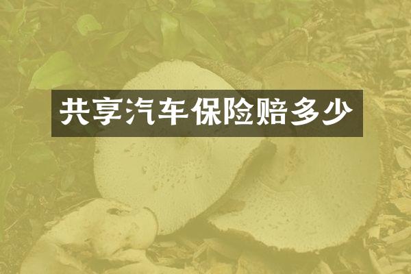 共享汽车保险赔多少