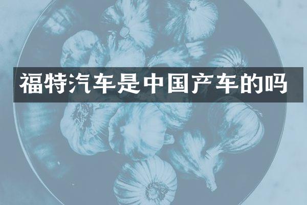 福特汽车是中国产车的吗