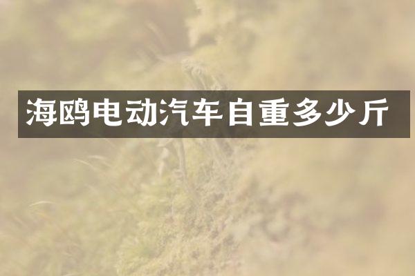 海鸥电动汽车自重多少斤