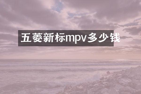 五菱新标mpv多少钱
