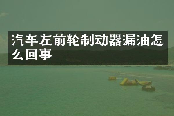 汽车左前轮制动器漏油怎么回事