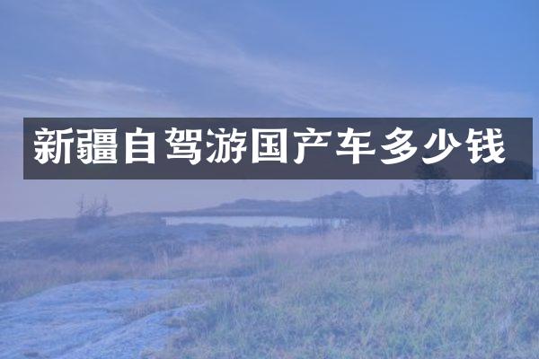 新疆自驾游国产车多少钱