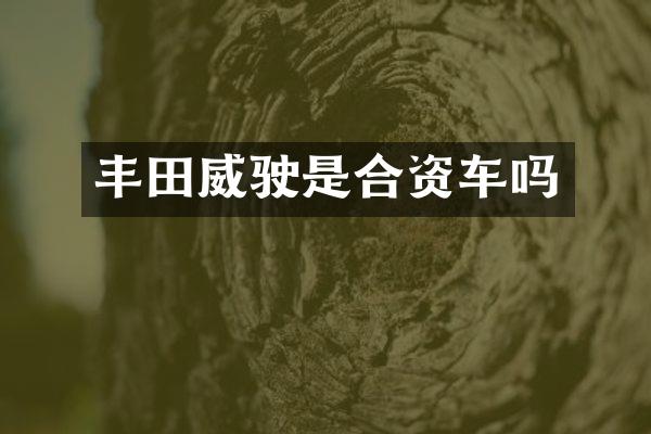 丰田威驶是合资车吗