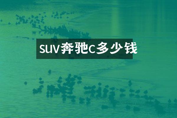 suv奔驰c多少钱