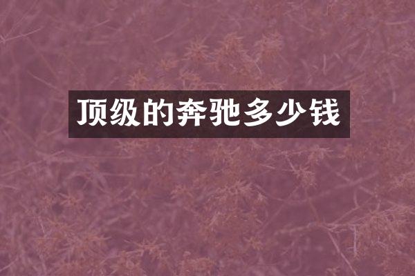 顶级的奔驰多少钱