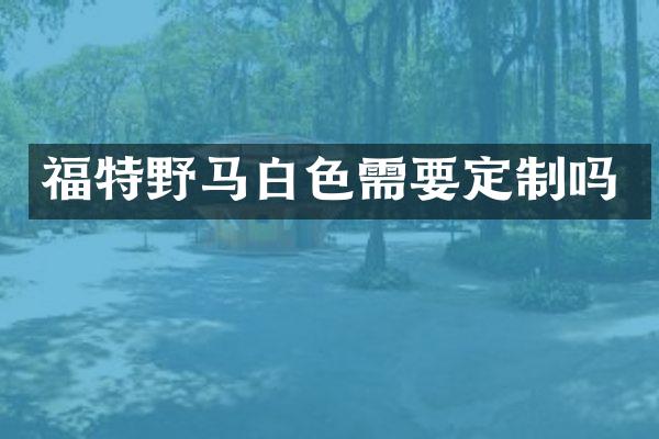 福特野马白色需要定制吗