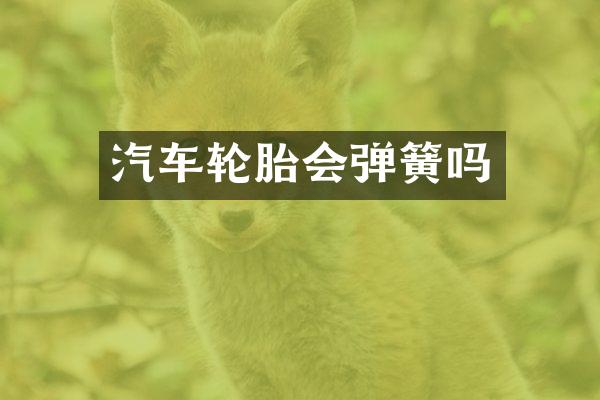 汽车轮胎会弹簧吗