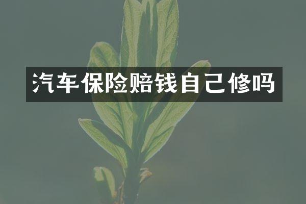 汽车保险赔钱自己修吗