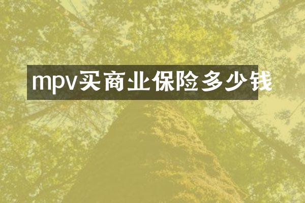 mpv买商业保险多少钱