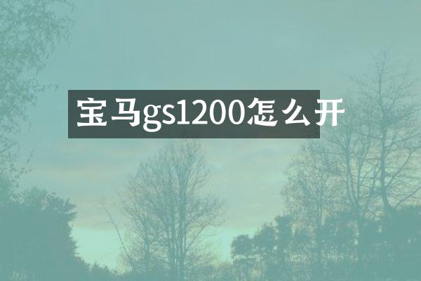 宝马gs1200怎么开
