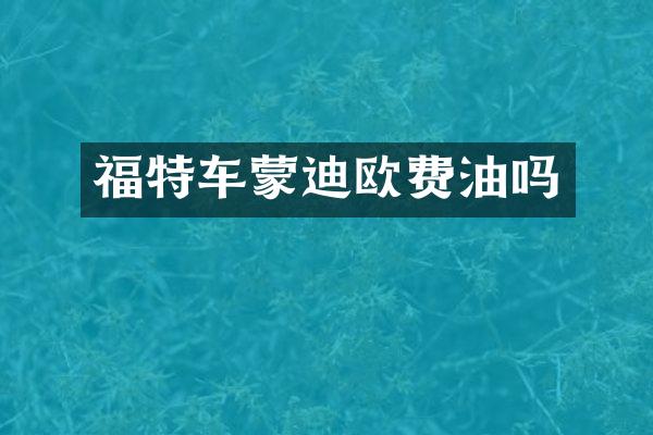 福特车蒙迪欧费油吗