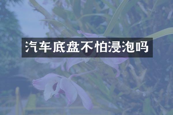 汽车底盘不怕浸泡吗