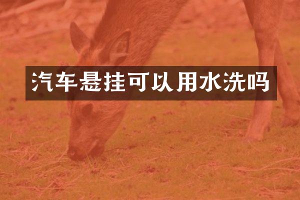 汽车悬挂可以用水洗吗