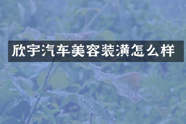 欣宇汽车美容装潢怎么样