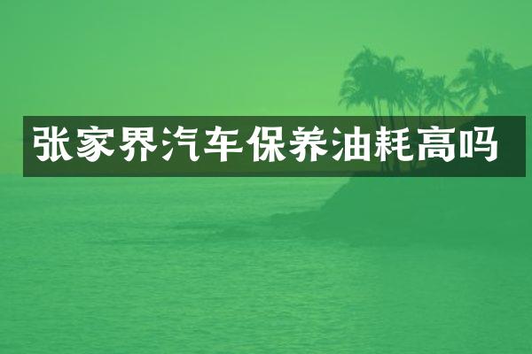 张家界汽车保养油耗高吗