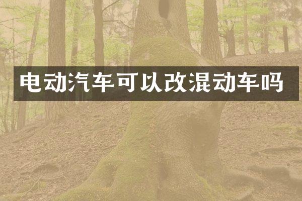 电动汽车可以改混动车吗