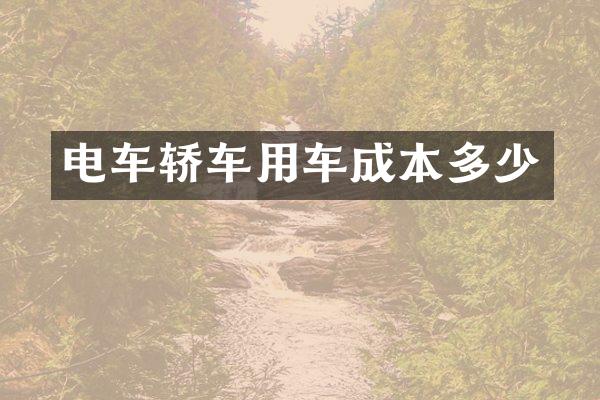 电车轿车用车成本多少