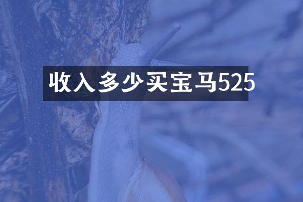 收入多少买宝马525