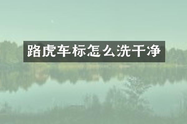 路虎车标怎么洗干净