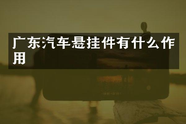 广东汽车悬挂件有什么作用