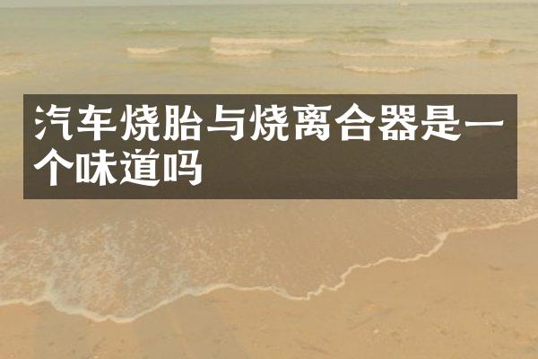 汽车烧胎与烧离合器是一个味道吗