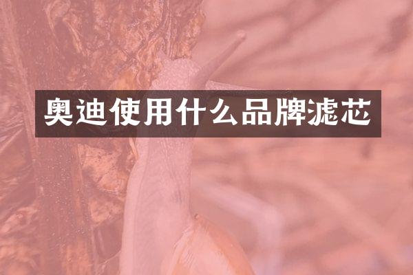 奥迪使用什么品牌滤芯