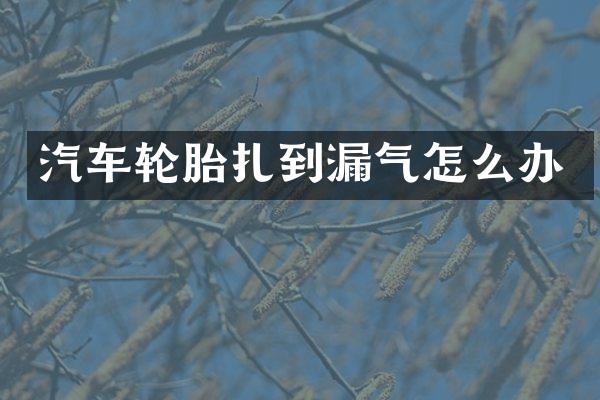 汽车轮胎扎到漏气怎么办