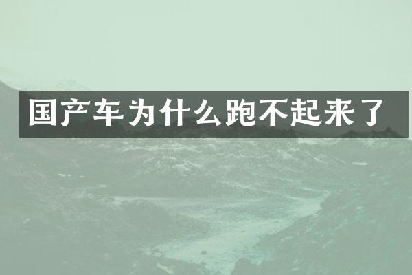 国产车为什么跑不起来了
