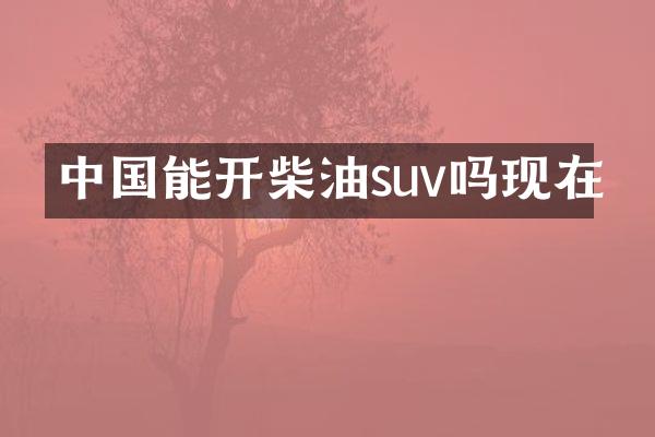 中国能开柴油suv吗现在
