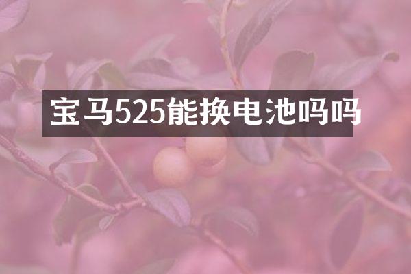宝马525能换电池吗吗