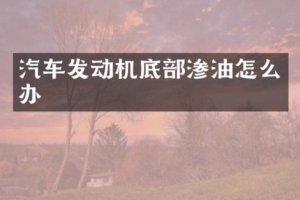 汽车发动机底部渗油怎么办