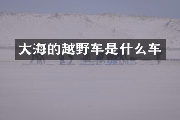 大海的越野车是什么车