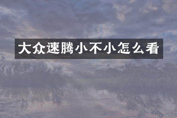 大众速腾小不小怎么看