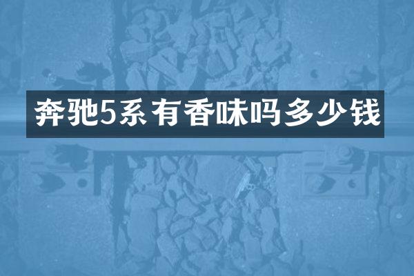 奔驰5系有香味吗多少钱