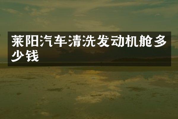 莱阳汽车清洗发动机舱多少钱