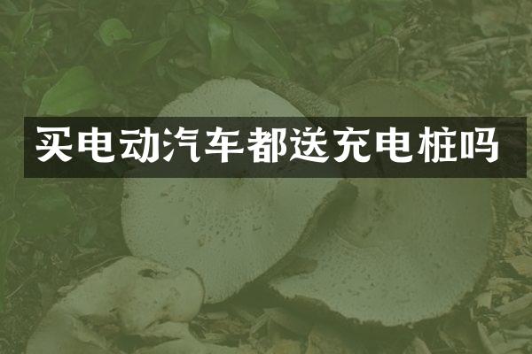 买电动汽车都送充电桩吗