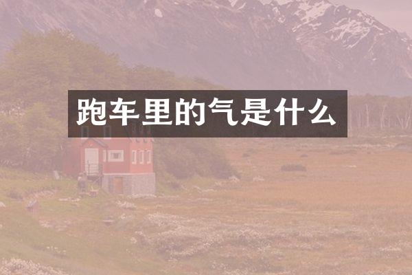 跑车里的气是什么