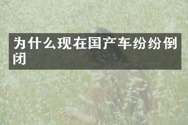 为什么现在国产车纷纷倒闭