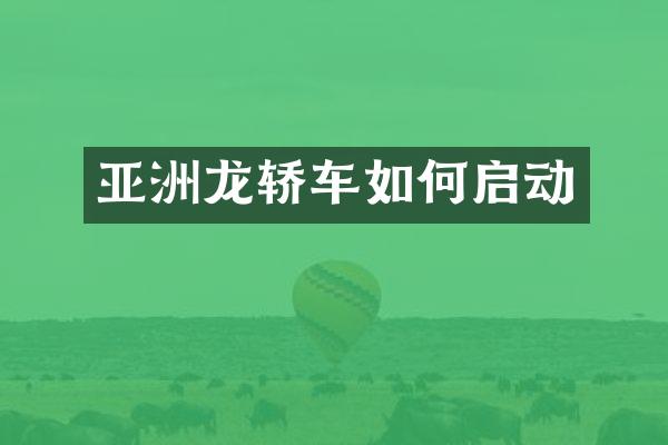 亚洲龙轿车如何启动