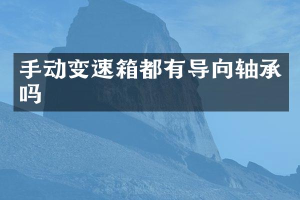 手动变速箱都有导向轴承吗