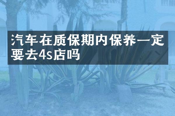 汽车在质保期内保养一定要去4s店吗