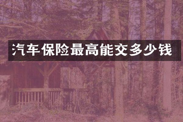汽车保险最高能交多少钱