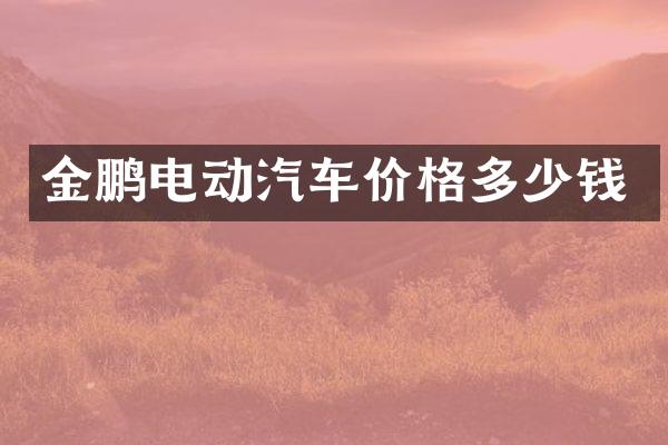 金鹏电动汽车价格多少钱