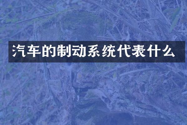汽车的制动系统代表什么
