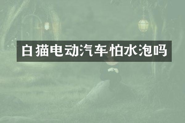 白猫电动汽车怕水泡吗