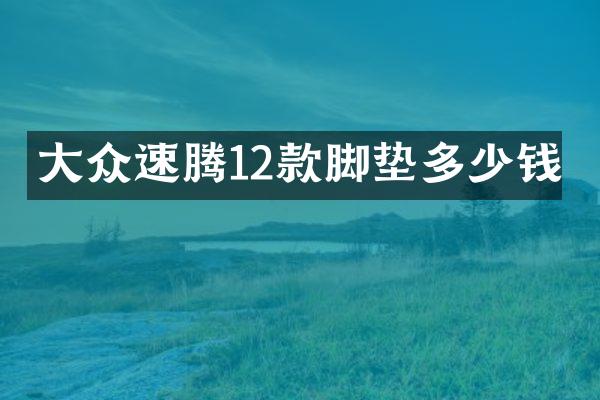 大众速腾12款脚垫多少钱