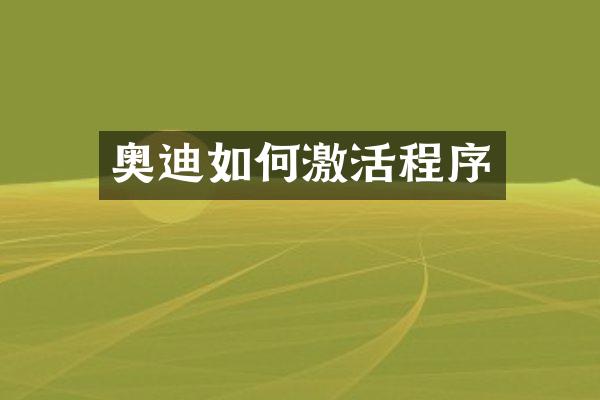 奥迪如何激活程序